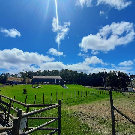 Sao Pedro Quinta De Sao Jose别墅 外观 照片