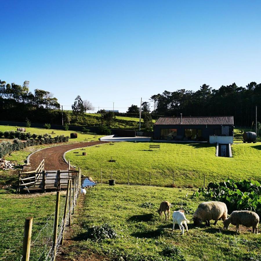 Sao Pedro Quinta De Sao Jose别墅 外观 照片
